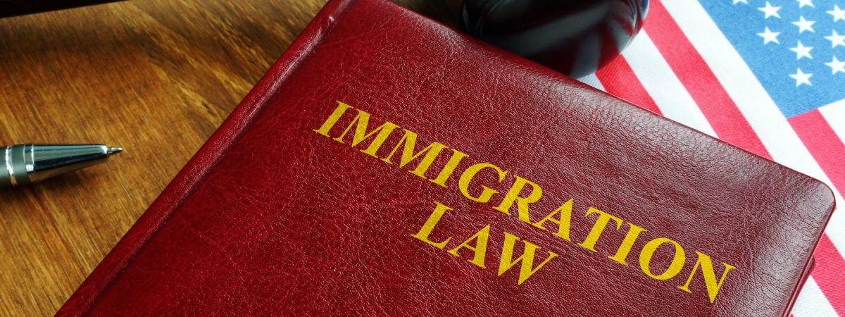 Immigration law act and USA flag.